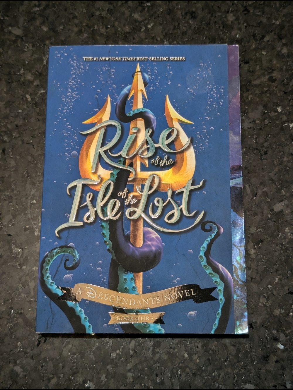 Rise of the Isle of the Lost Paperback Book